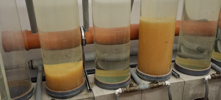 Laichfischen 2024: 32 Liter!