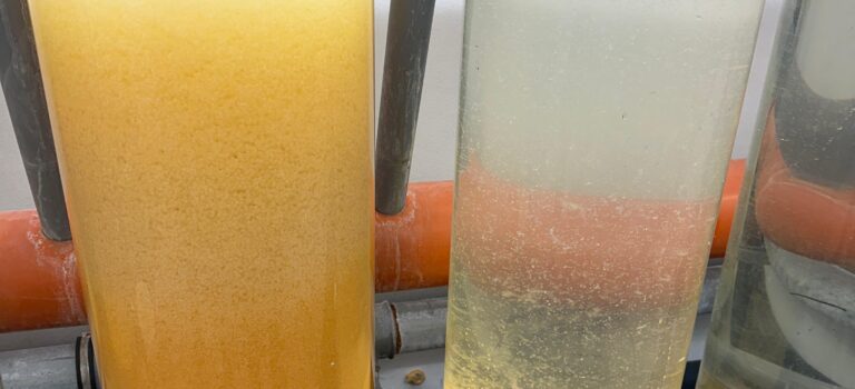 Laichfischerei erfolgreich